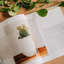 Load image into Gallery viewer, 40 Days with Jesus | Lent Study