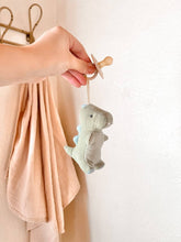 Load image into Gallery viewer, Bitzy Pal Natural Rubber Pacifier & Plush