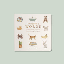 Load image into Gallery viewer, Our Big Book of First Words (Board Book)