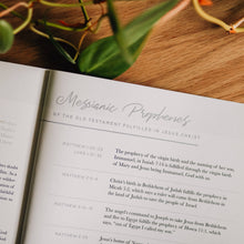 Load image into Gallery viewer, 40 Days with Jesus | Lent Study