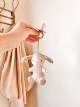 Load image into Gallery viewer, Bitzy Pal Natural Rubber Pacifier & Plush