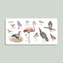 Load image into Gallery viewer, Our Big Book of Animals (Board Book)