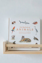 Load image into Gallery viewer, Our Big Book of Animals (Board Book)