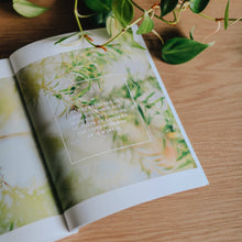 Load image into Gallery viewer, 40 Days with Jesus | Lent Study