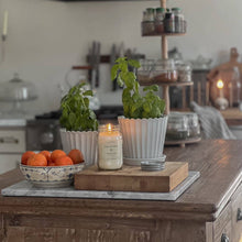 Load image into Gallery viewer, Fresh Cut Herbs - Soy Wax Mason Jar Candle
