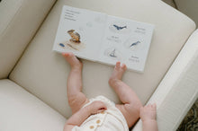 Load image into Gallery viewer, Wishy Washy: A Board Book of First Words and Colors
