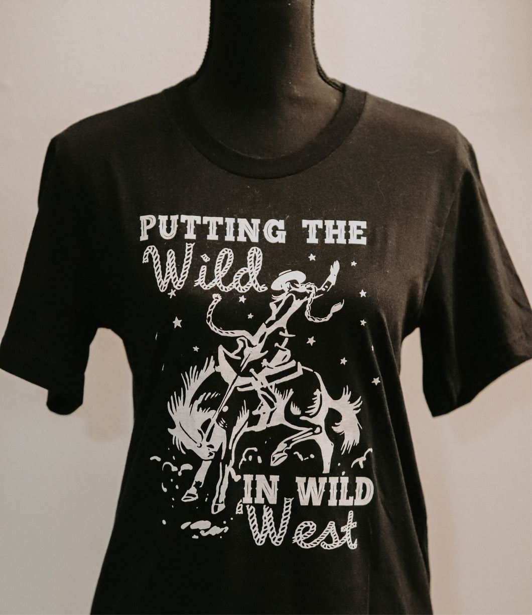 Wild in Wild West