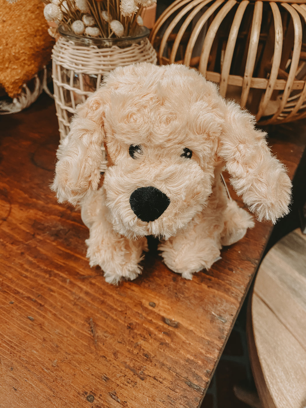 Mini Golden Puppy Warmies